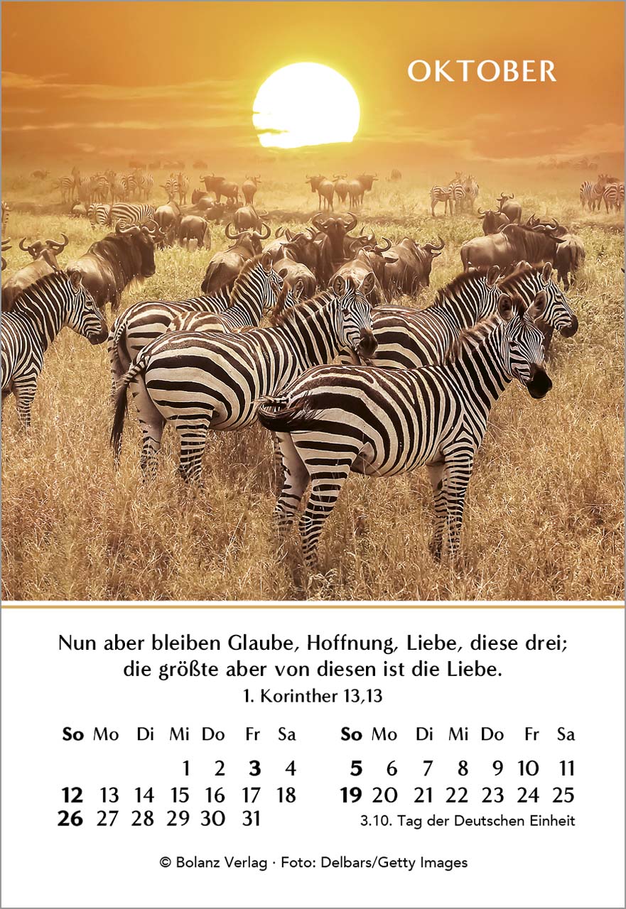 Ein Jahr der Hoffnung Mini-Kalender