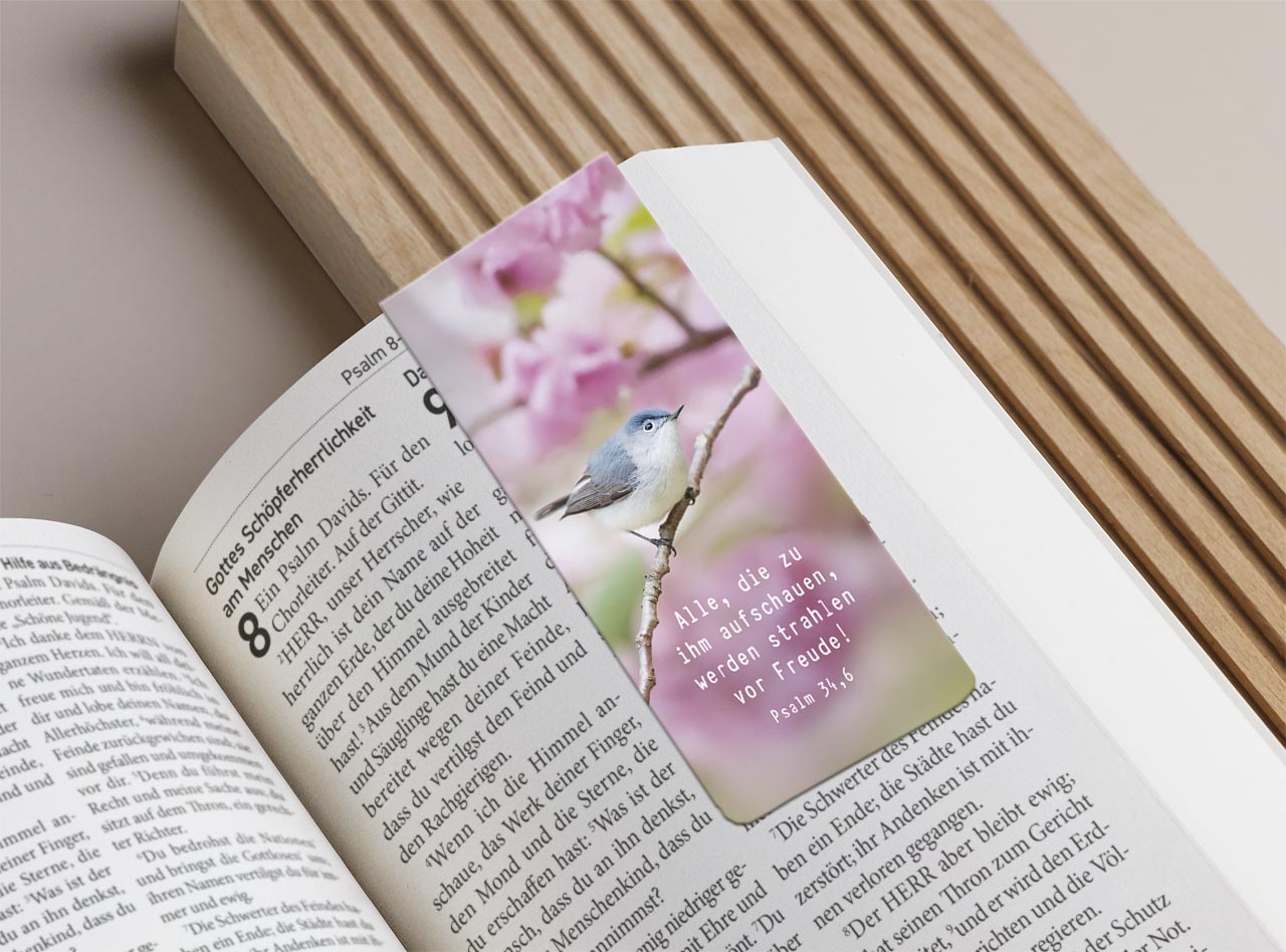 Magnetlesezeichen Freude