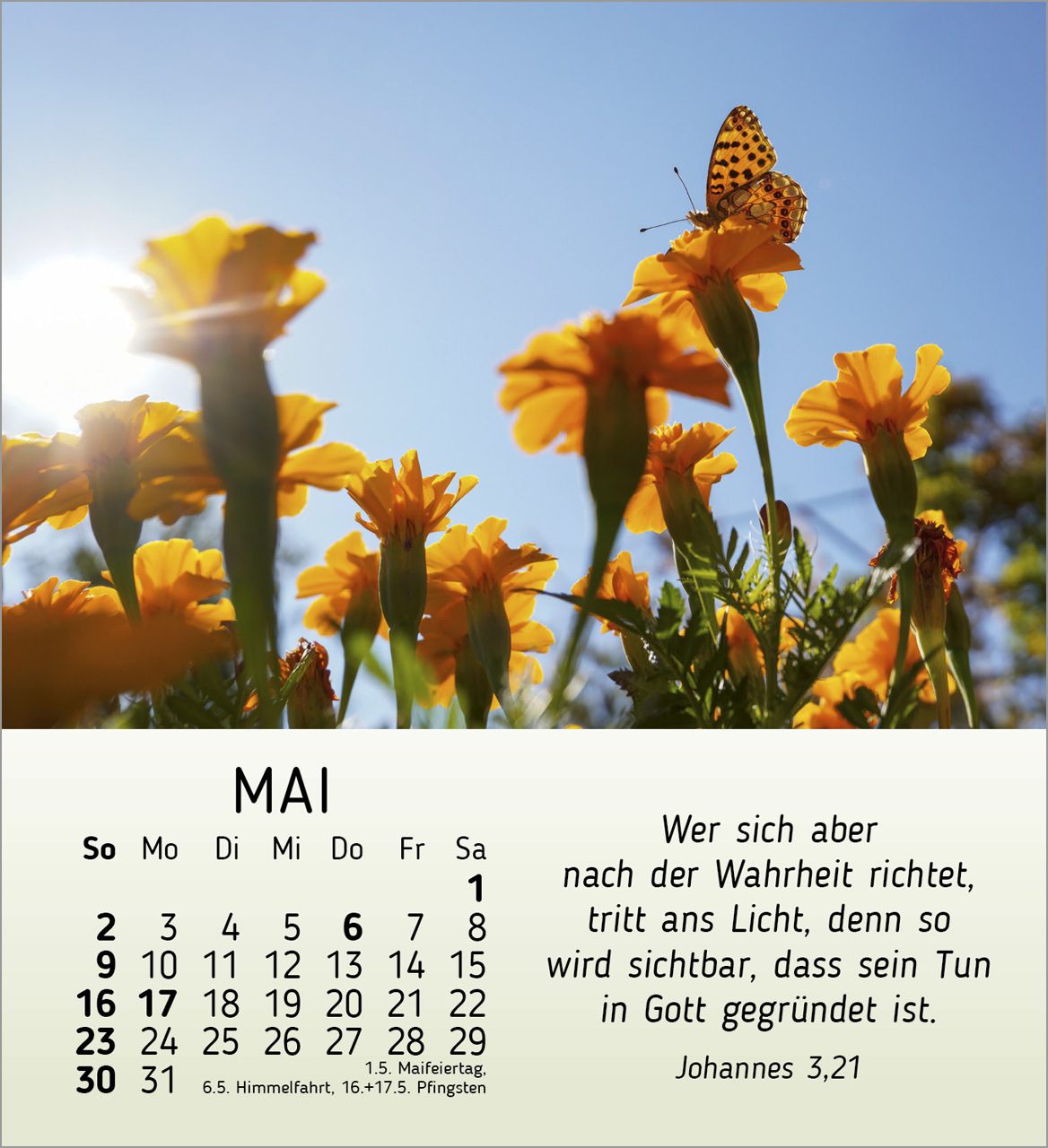 Schönheit des Lichts 2027 – Tischkalender