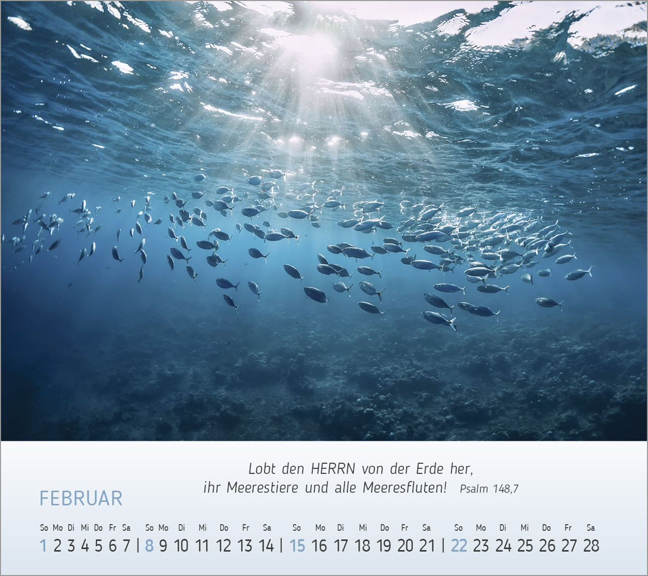 Foto-Träume - Tischkalender 2026 Foto-Träume - Tischkalender 2026