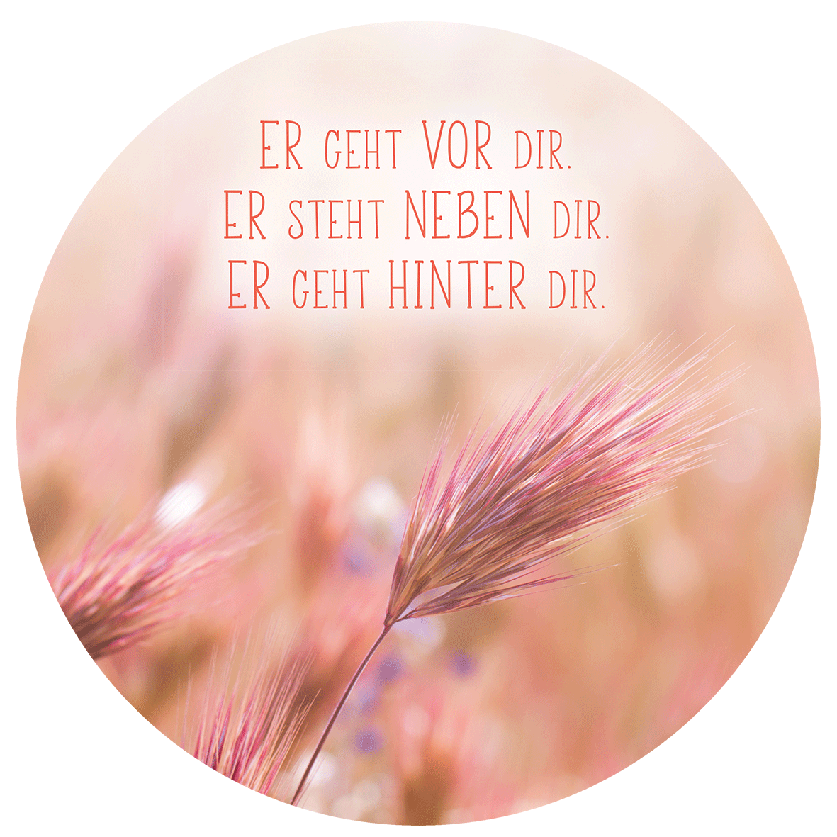 Wandschmuckbild Gräser 40 cm