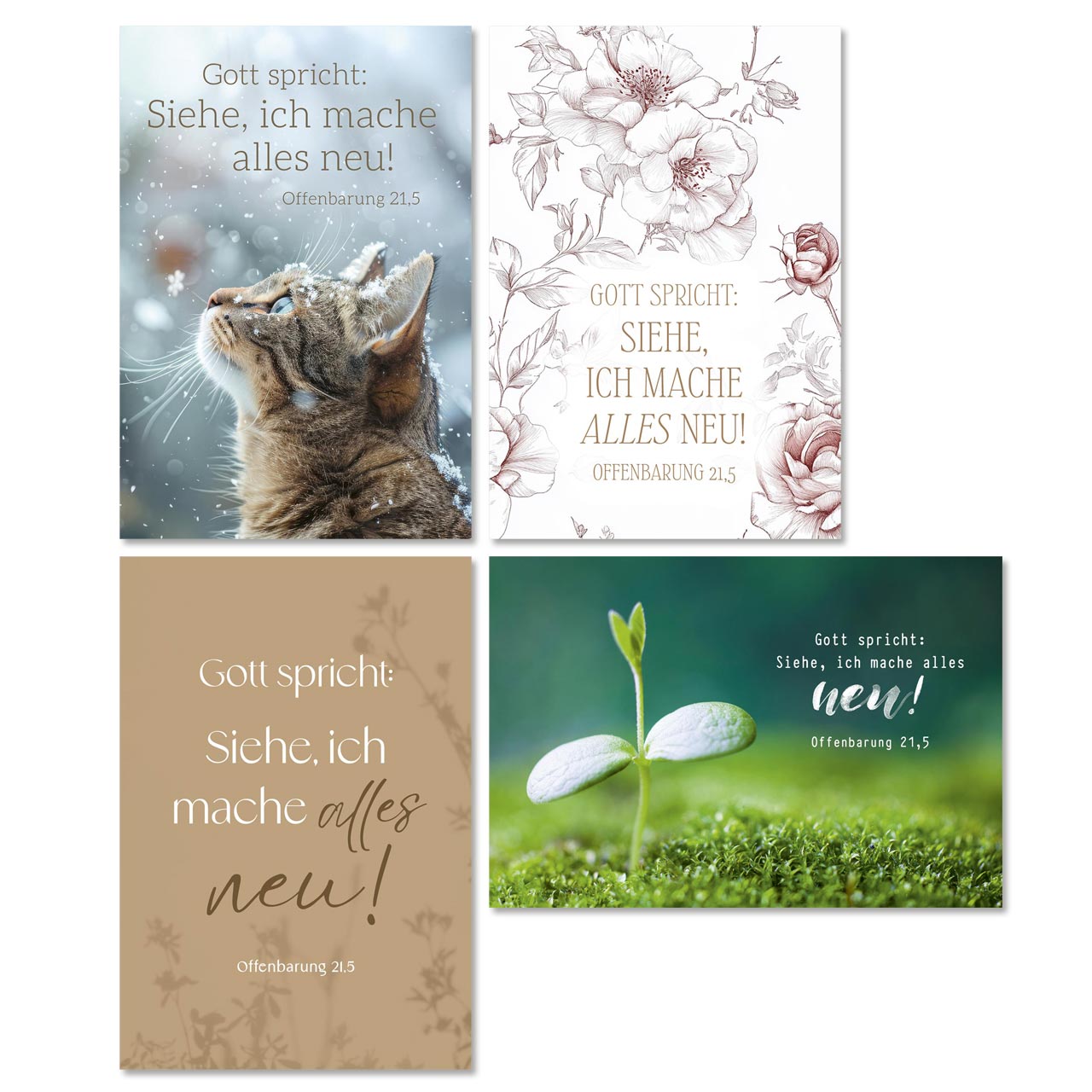 Minikarten Jahreslosung 2026