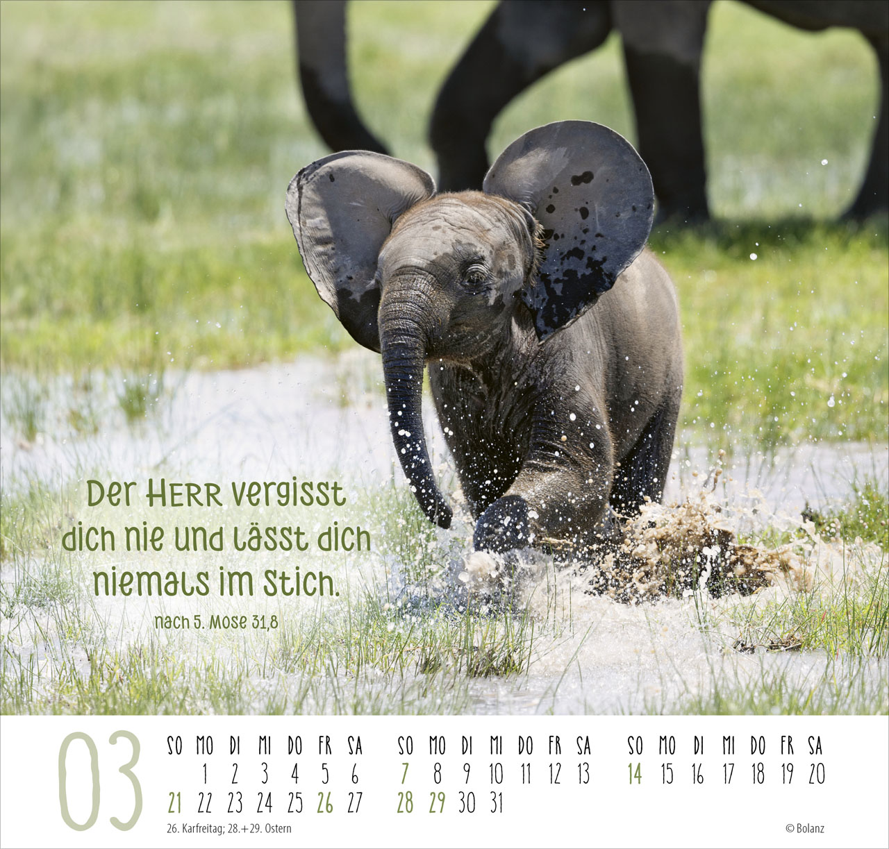 Beste Freunde – Ich mag dich 2027 – Posterkalender