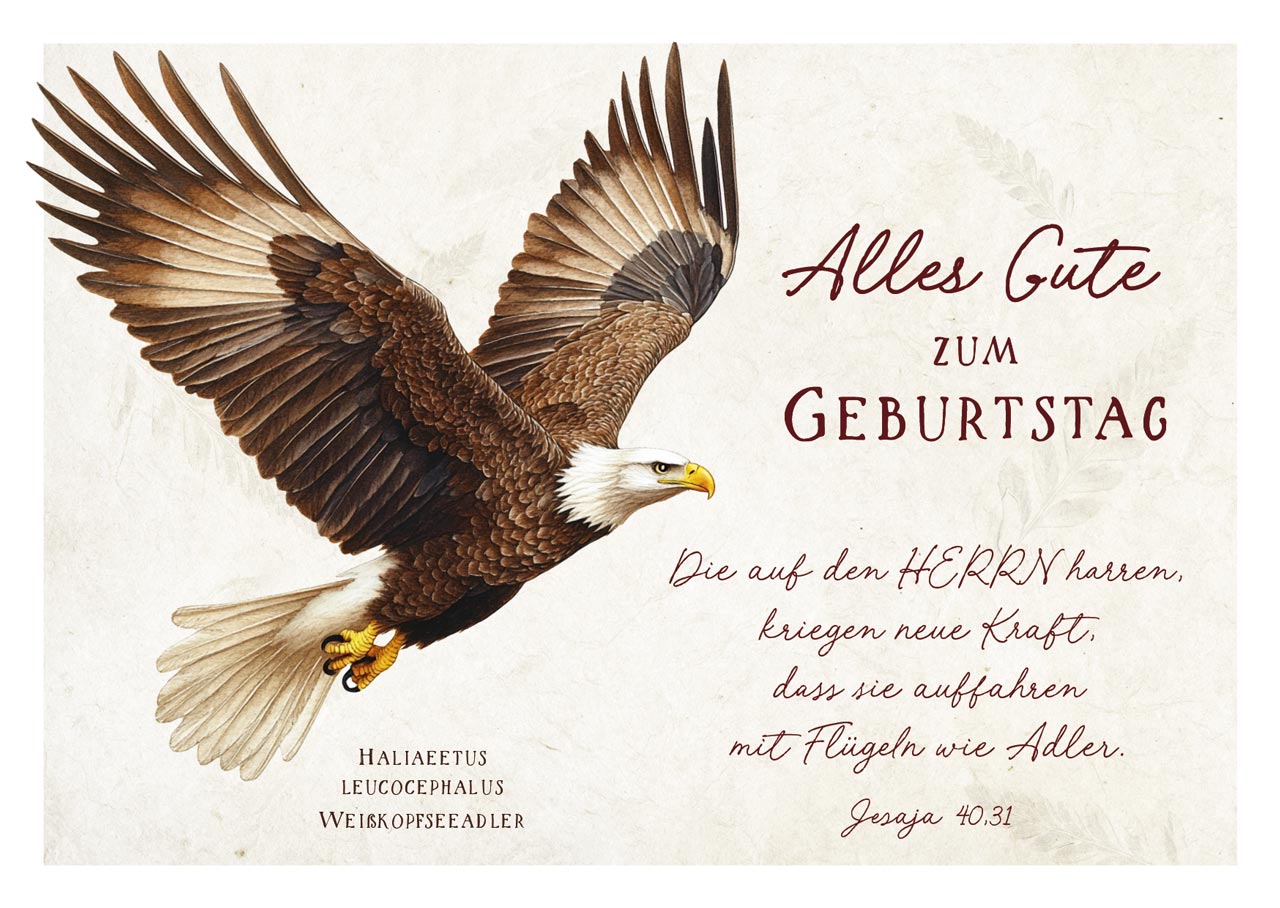 Postkarte Geburtstag Adler