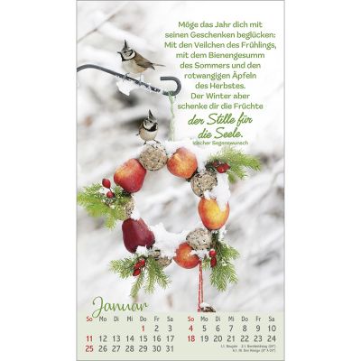 Beflügelt und geborgen 2026