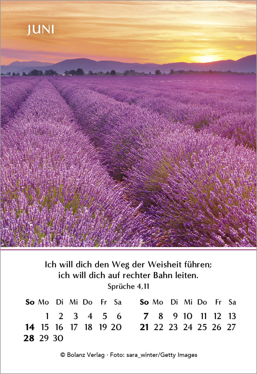Ein Jahr der Hoffnung Mini-Kalender 2026