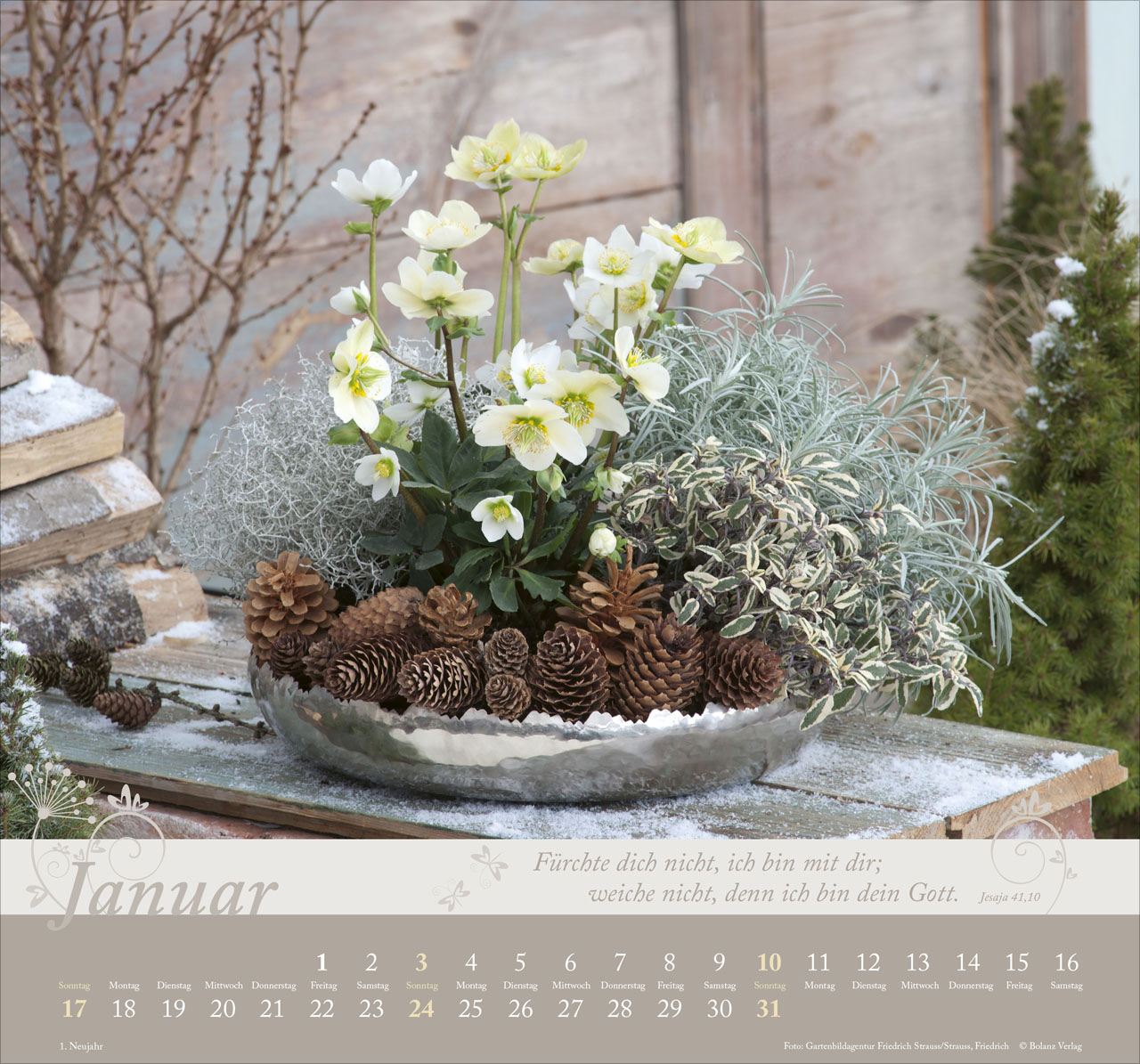 Im Garten zuhause 2027 – Wandkalender