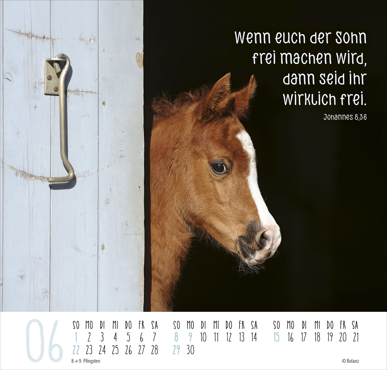 Beste Freunde - Ich mag dich 2025 - Posterkalender