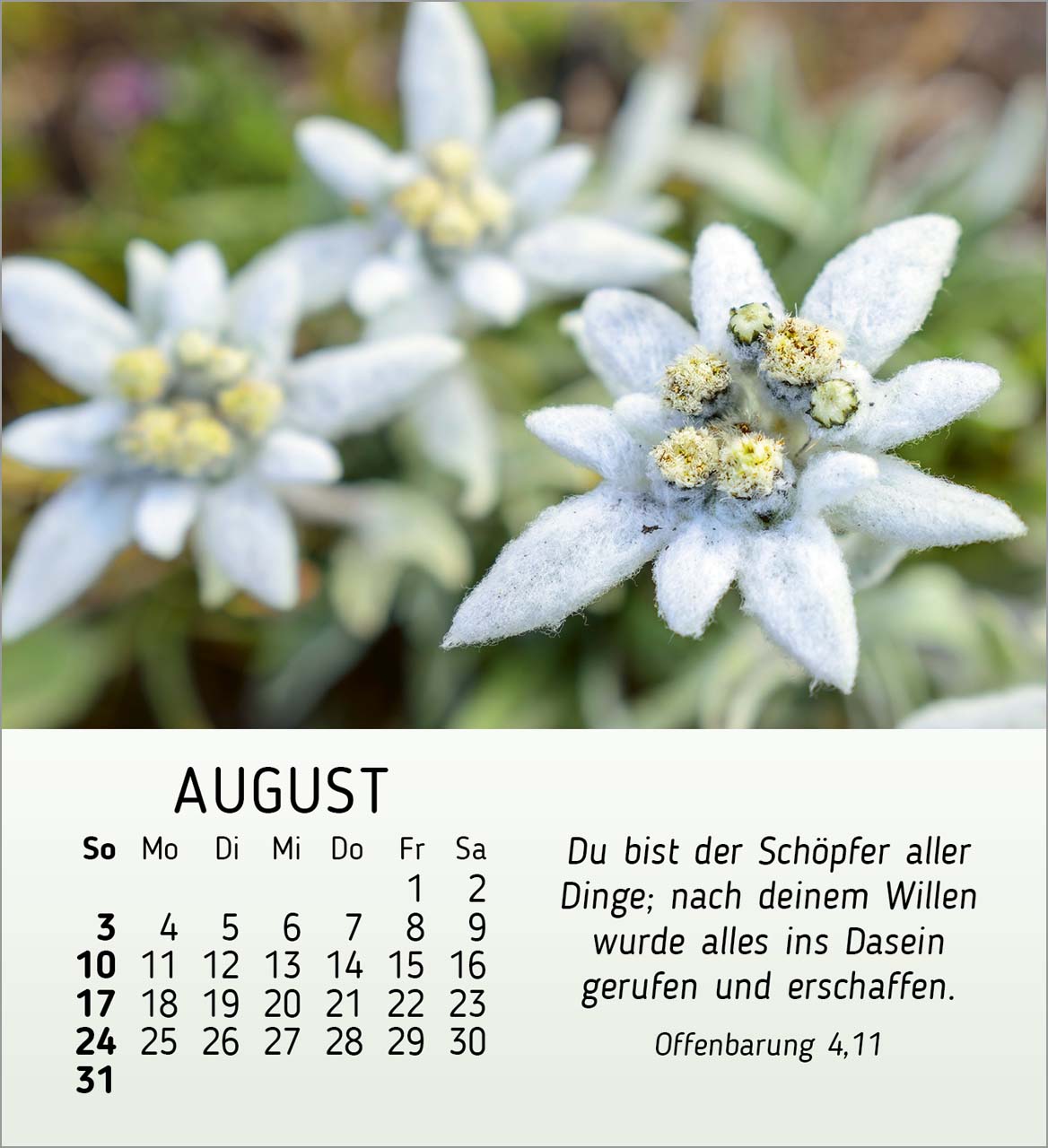 Ich wünsche dir Freude Tischkalender