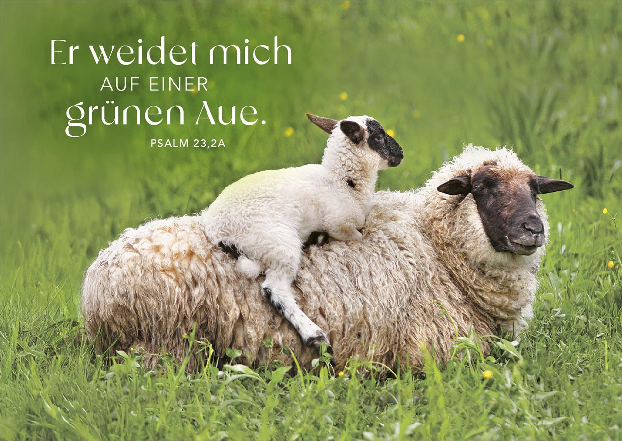 Postkartenbox Psalm 23 - Der HERR ist mein Hirte