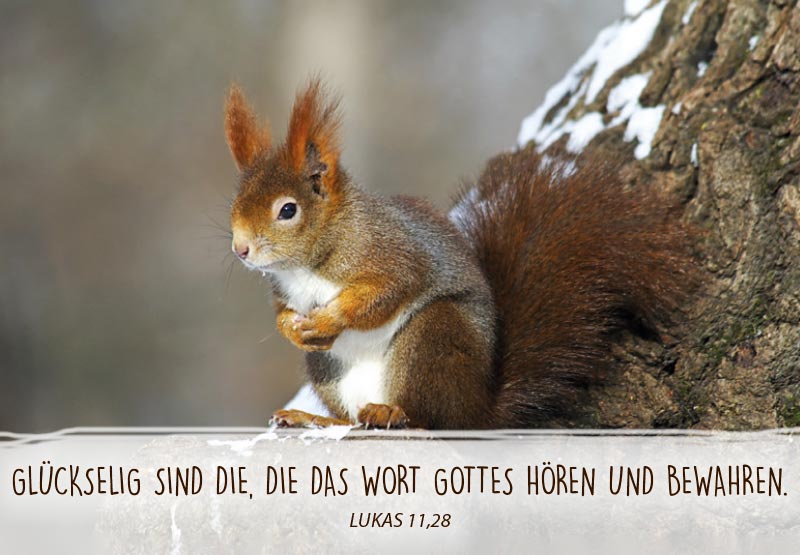 Neujahrslose Tiere