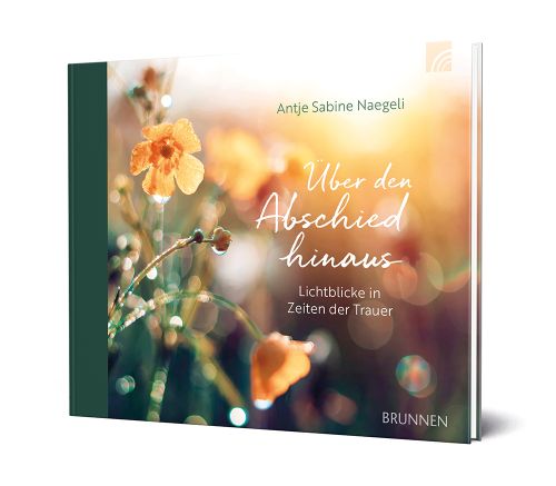 Über den Abschied hinaus - Lichtblicke in Zeiten der Trauer