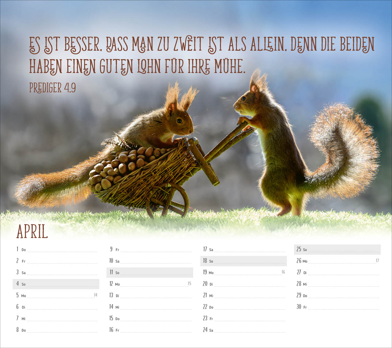 Du sorgst für mich 2027 – Tischkalender