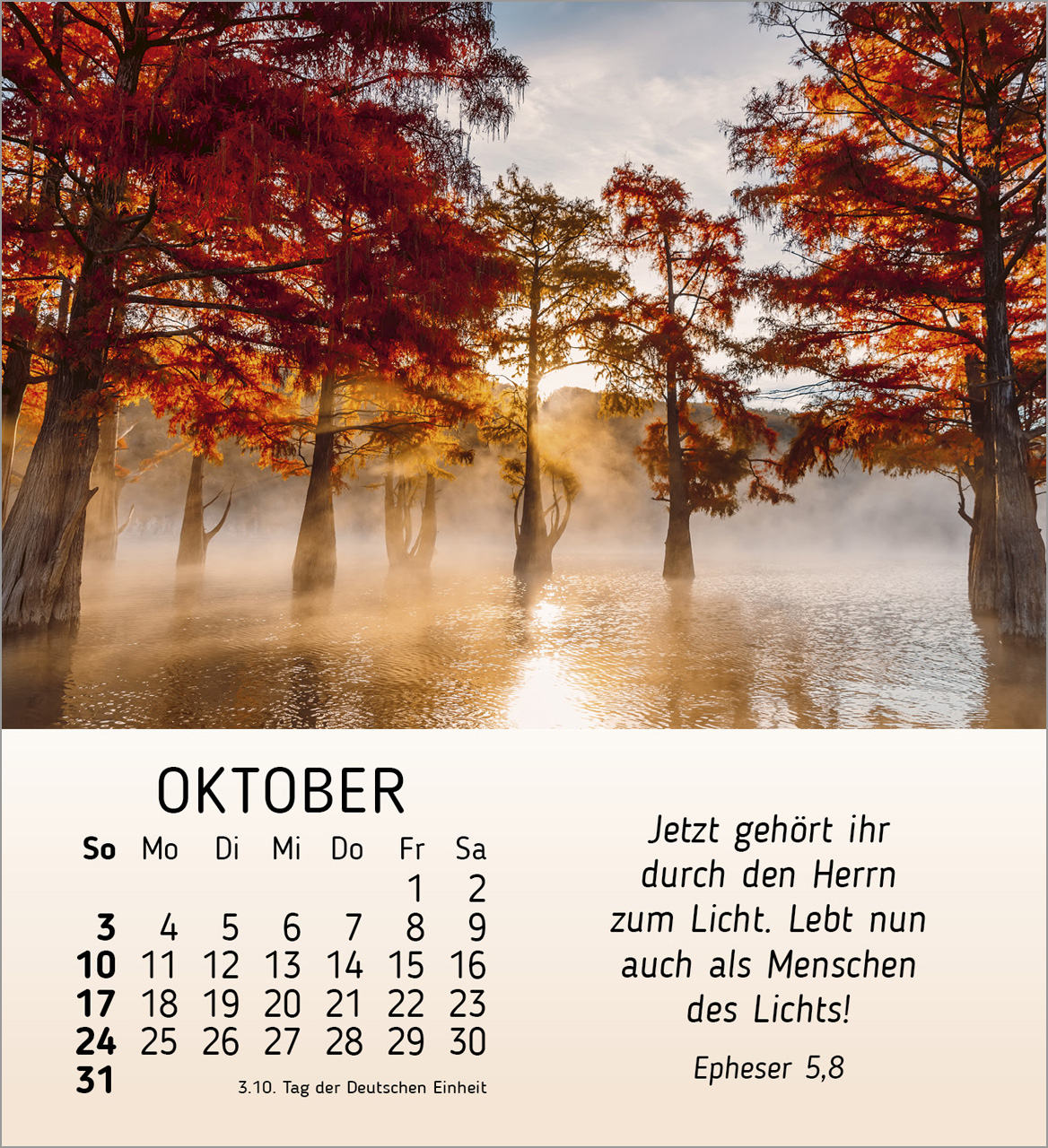 Schönheit des Lichts 2027 – Tischkalender