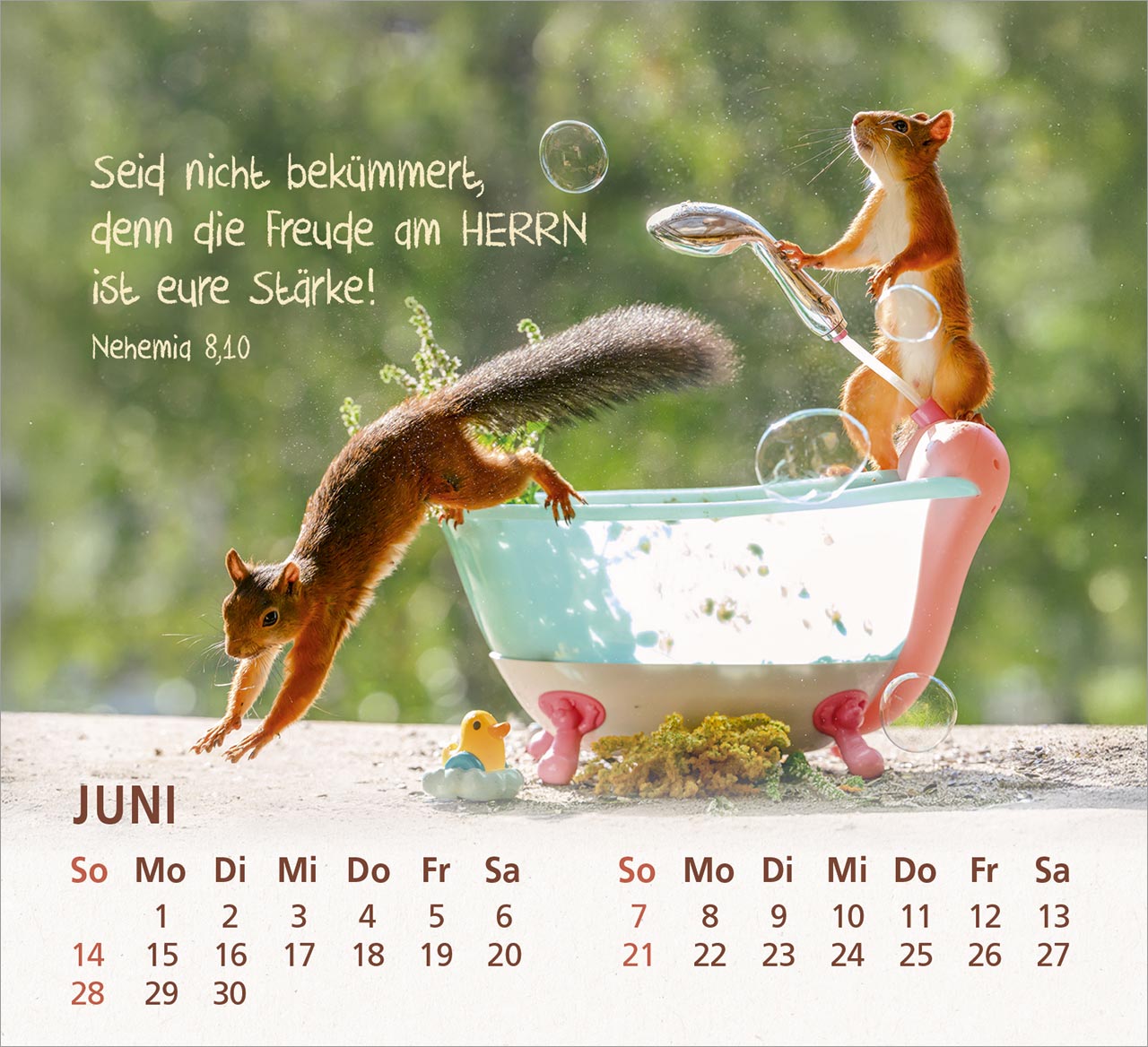 Du bist meine Freude 2026 Du bist meine Freude 2026