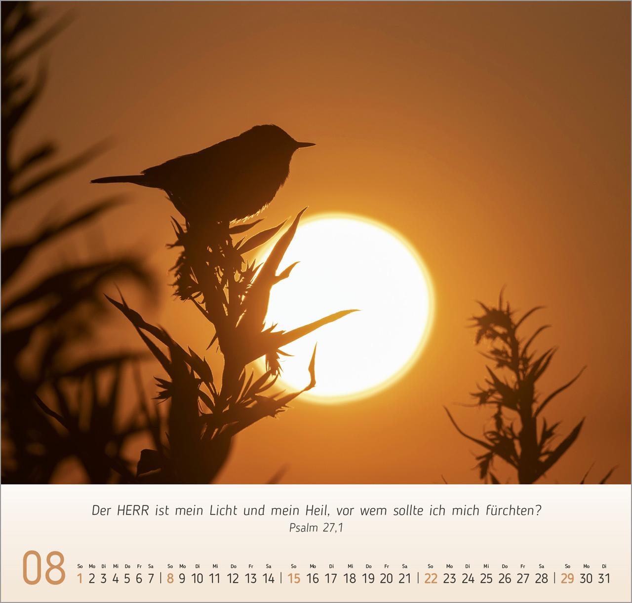 Licht-Impressionen 2027 – Wandkalender
