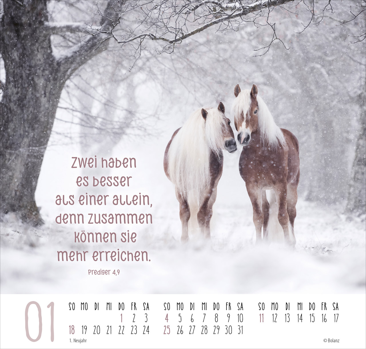 Beste Freunde - Ich mag dich 2026 - Posterkalender