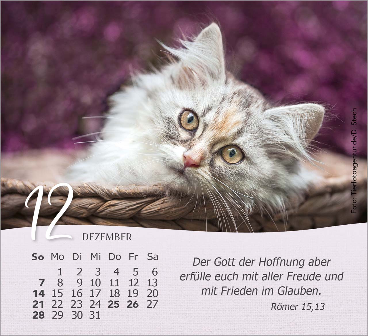 Katzen Tischkalender