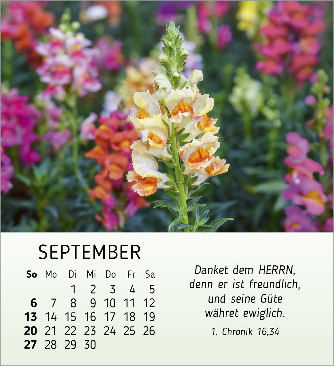 Ich wünsche dir Freude Tischkalender 2026