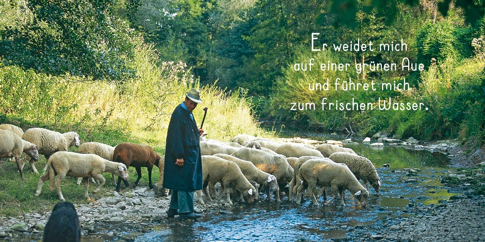 Grußheft - Du hältst mich fest