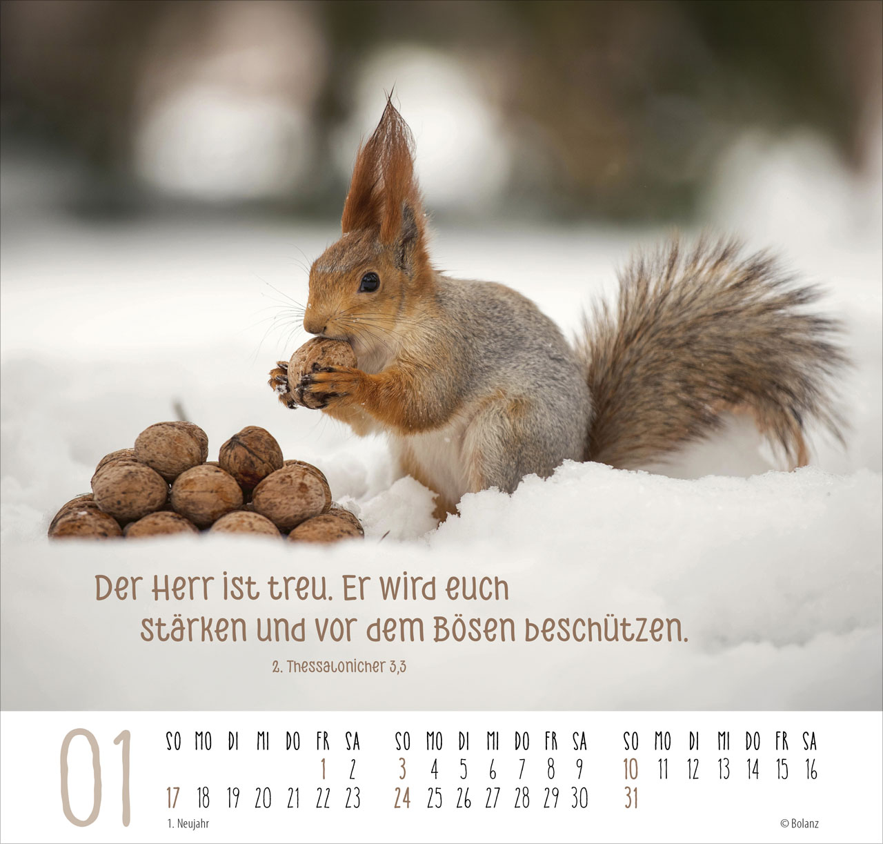Beste Freunde – Ich mag dich 2027 – Posterkalender