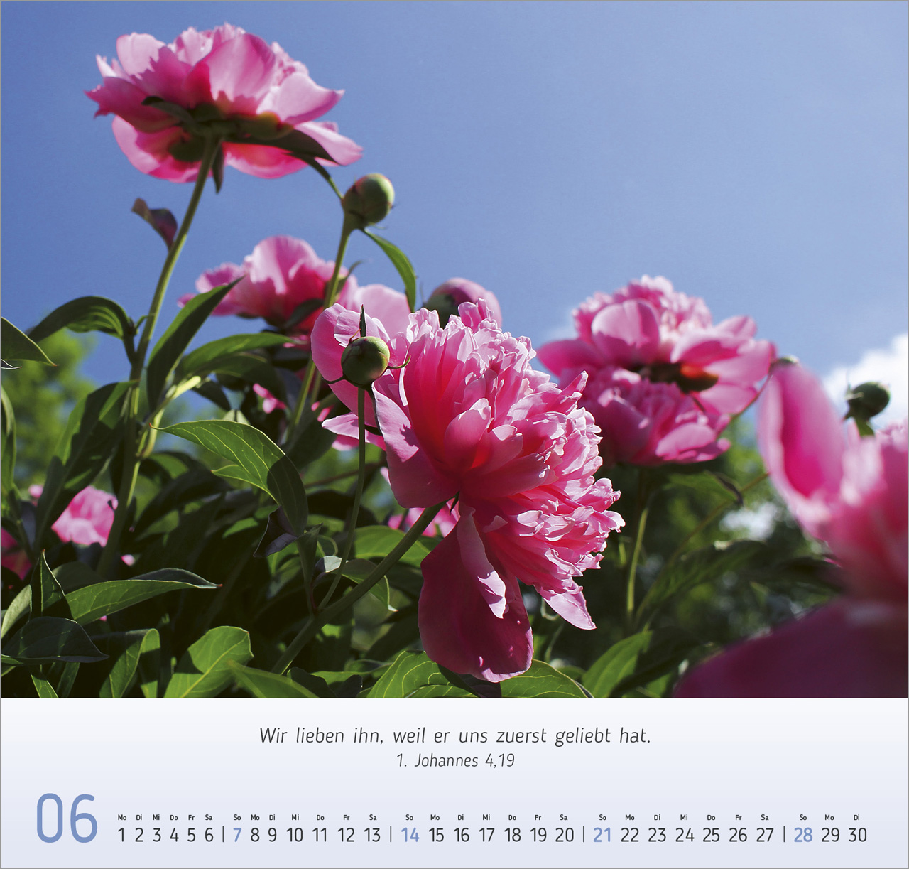 Blumen-Impressionen Wandkalender 2026