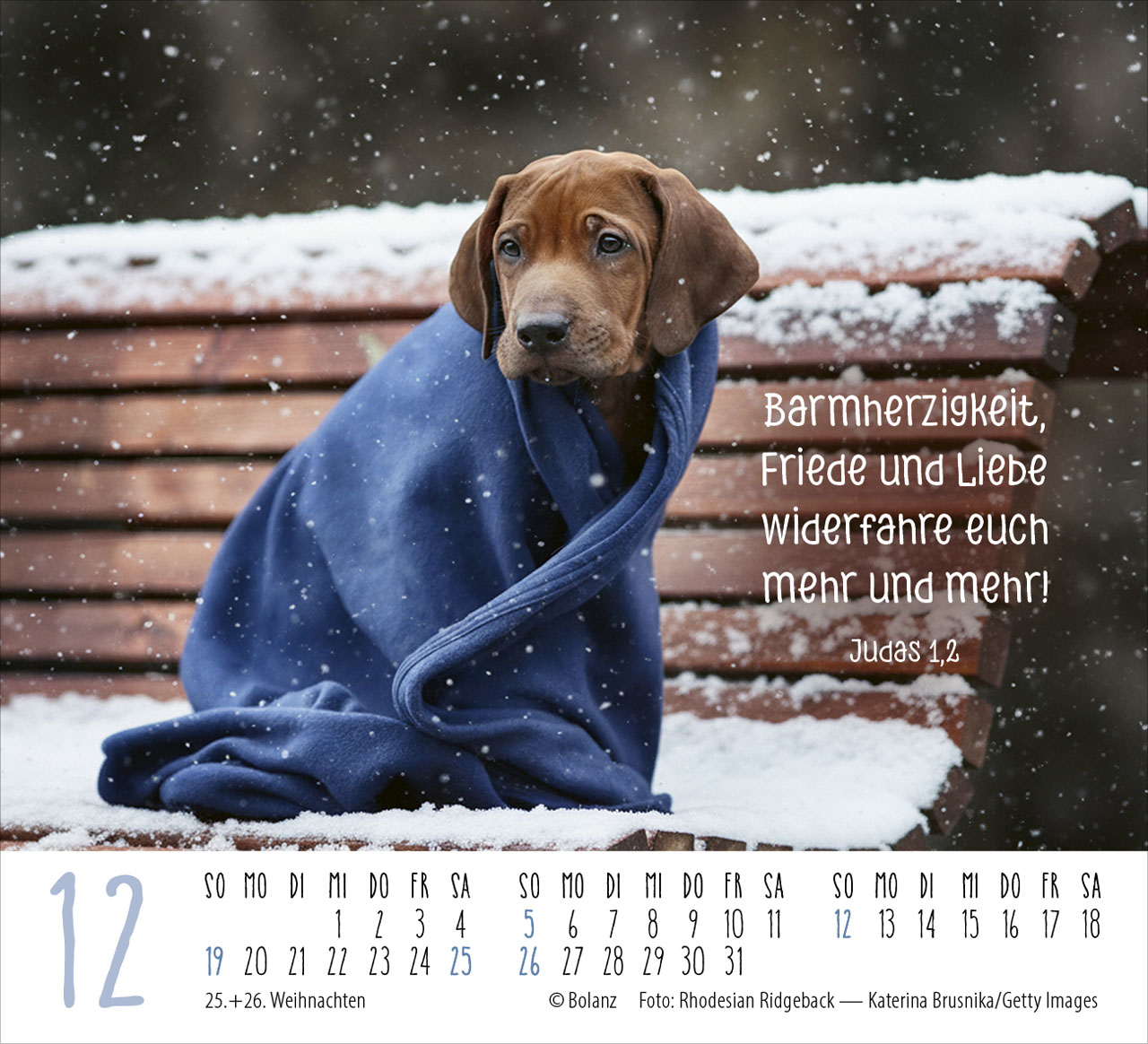 Hunde – treue Wegbegleiter 2027 – Minikalender