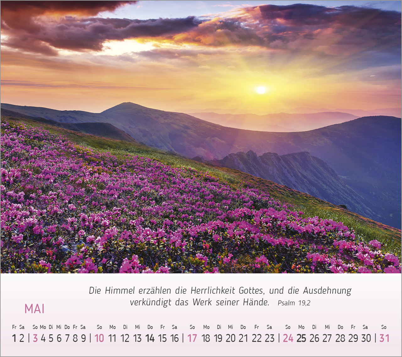 Foto-Träume - Tischkalender 2026 Foto-Träume - Tischkalender 2026