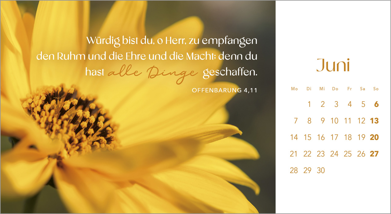 Augenblicke der Anbetung 2027 – Postkartenkalender