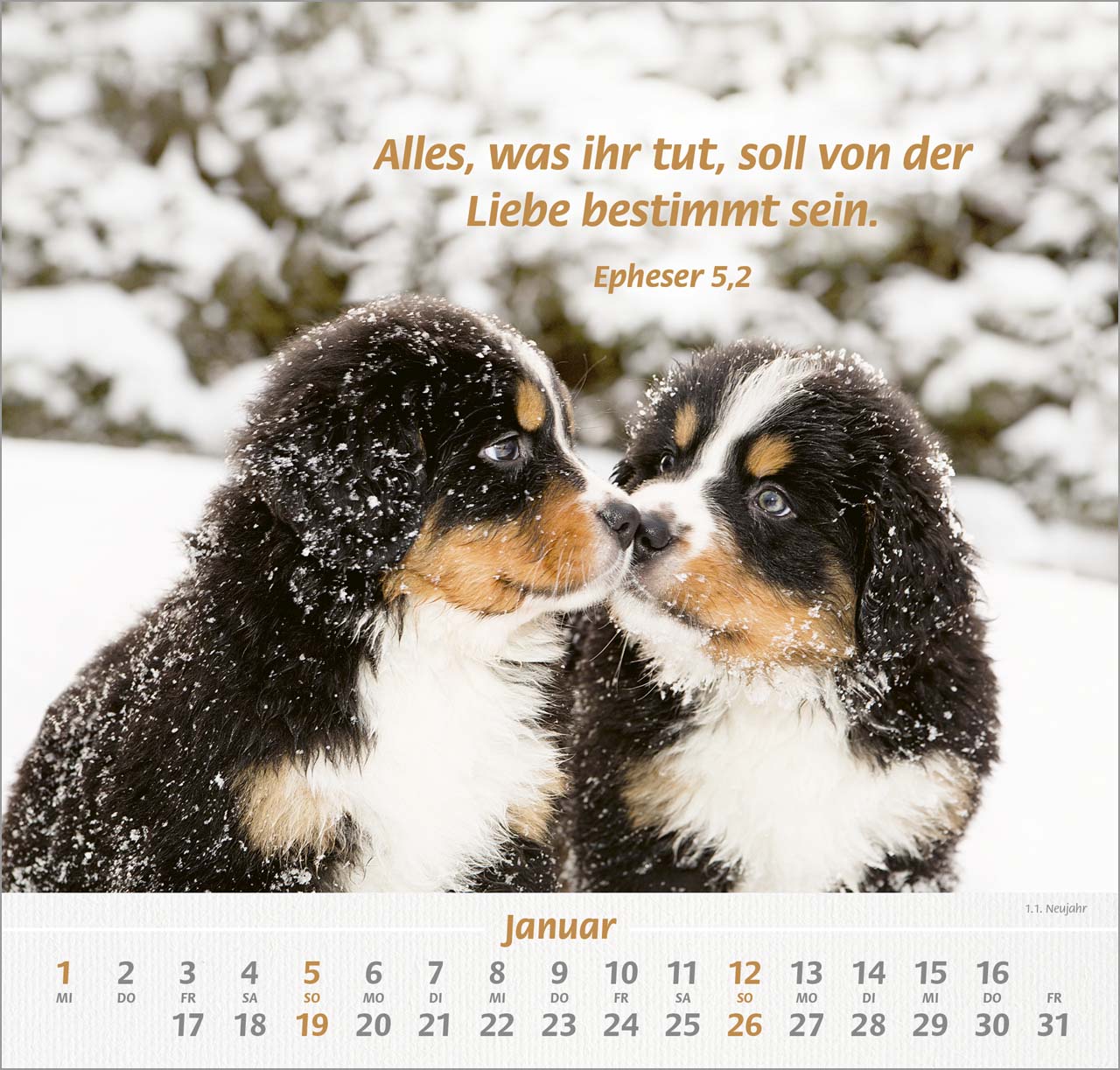 Ich hab dich gern Wandkalender