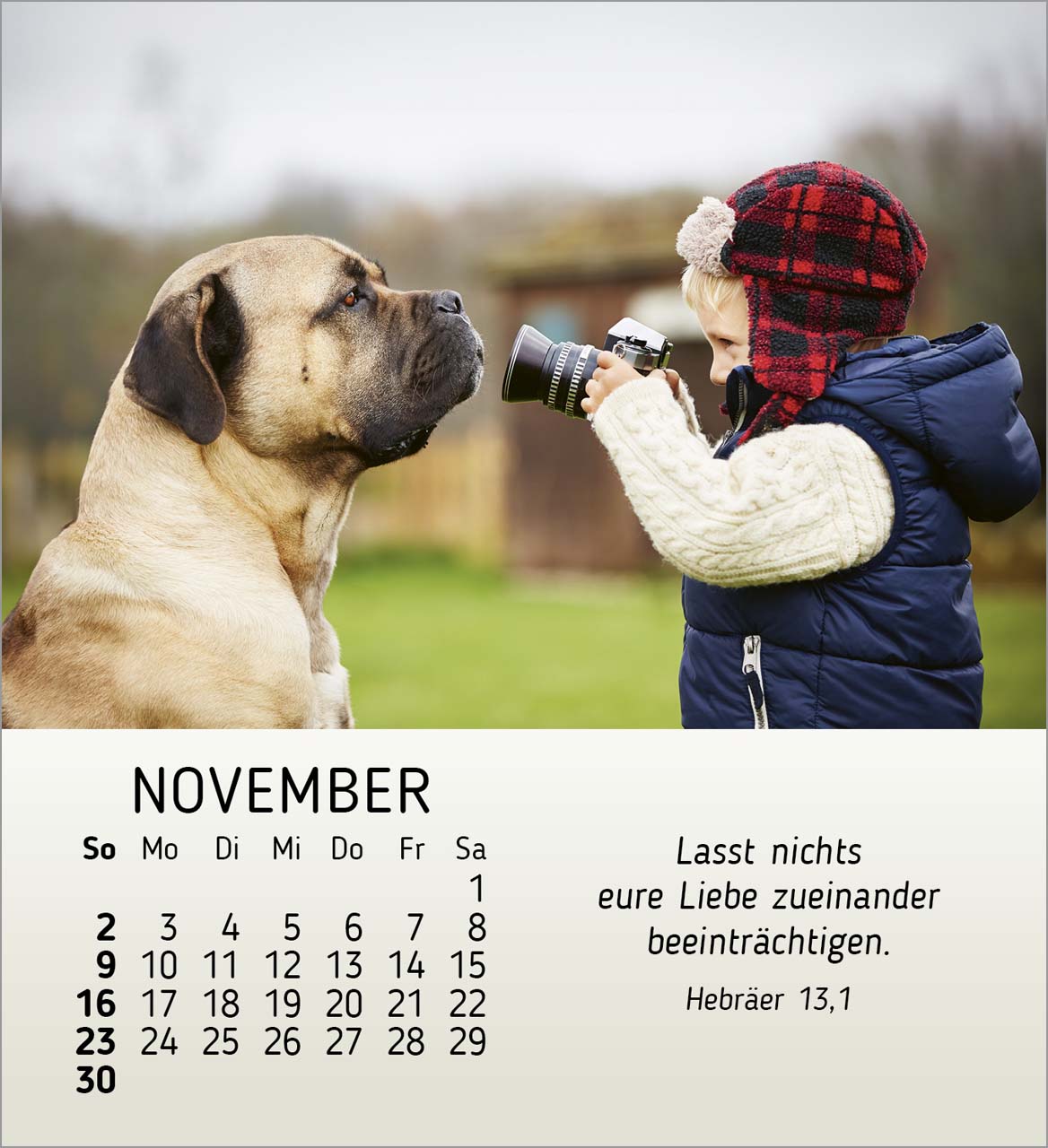 Meine kleinen Freunde 2025 - Tischkalender