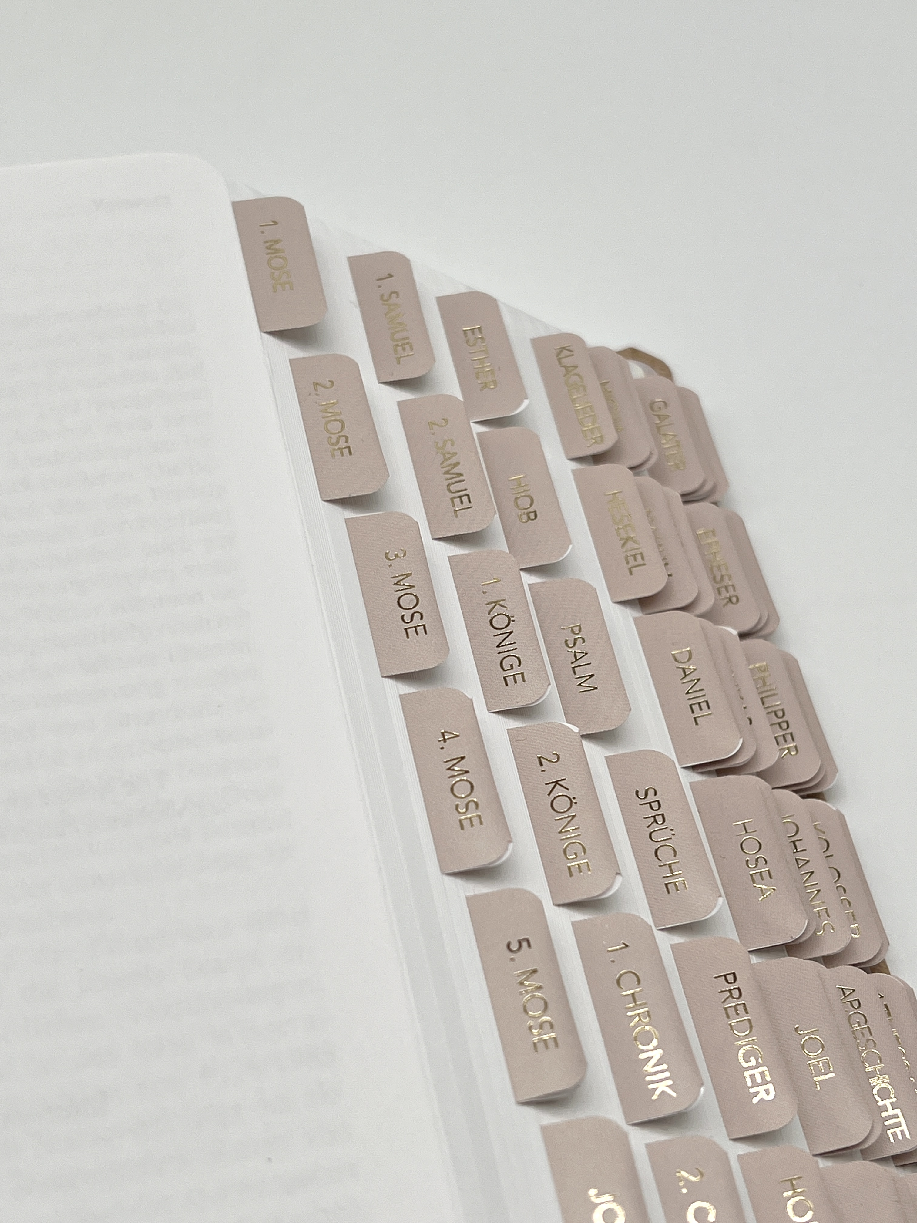 Bibel-Griffregister Cremefarben mit Goldveredelung