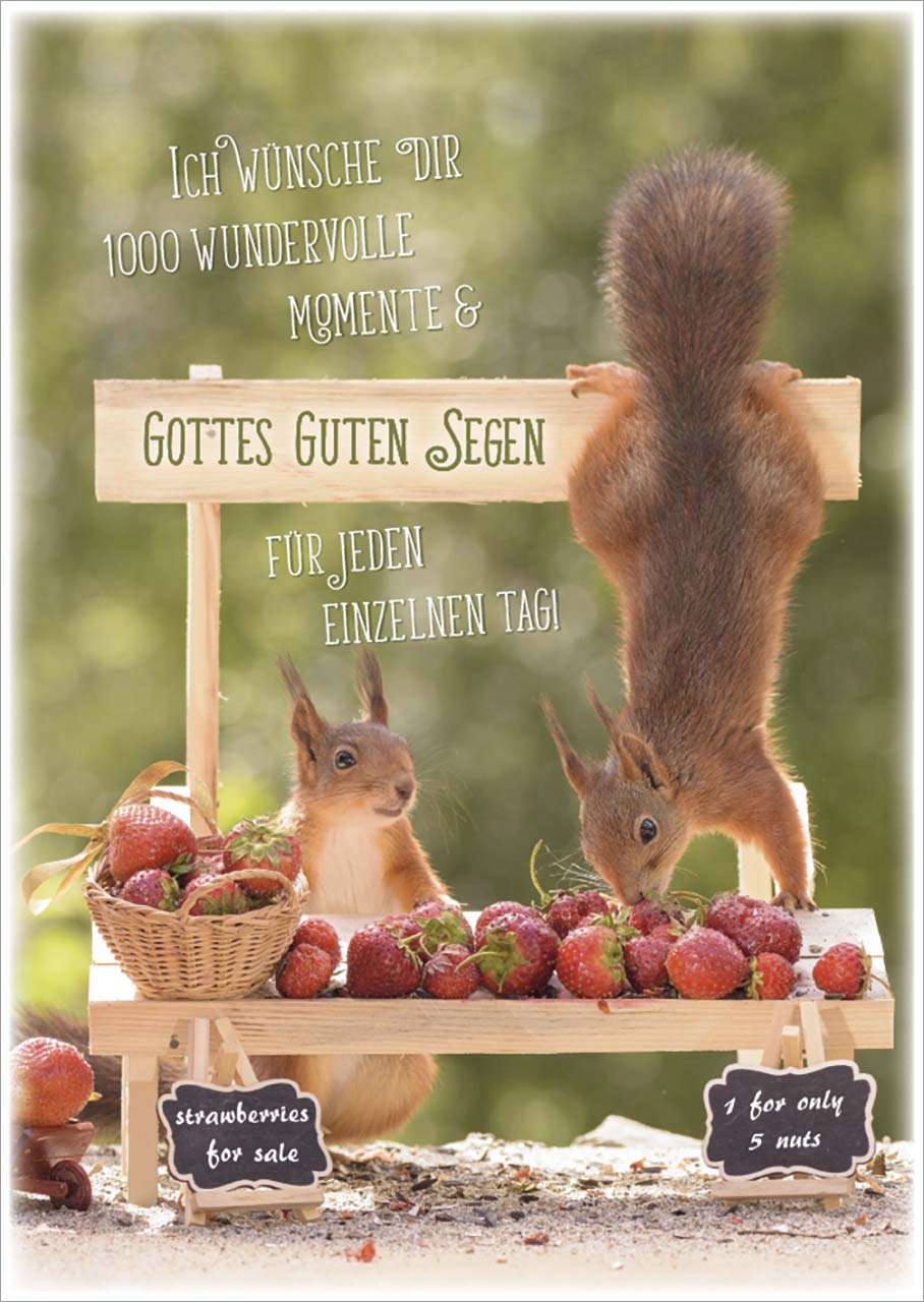 Postkarte Gottes guten Segen - Eichhörnchen