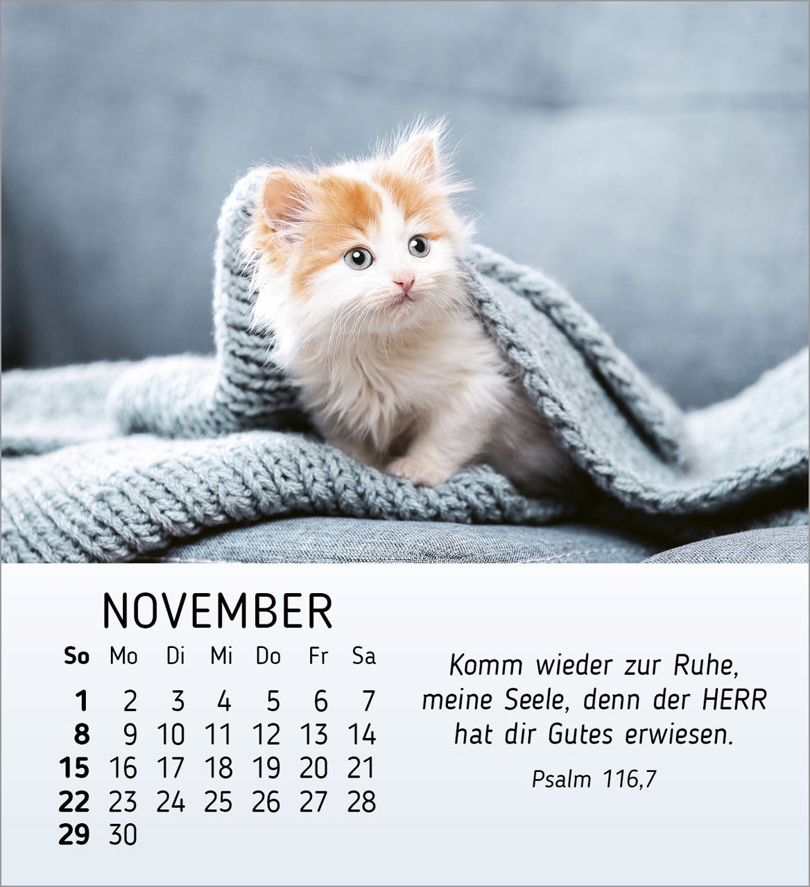 Meine kleinen Freunde 2026 - Tischkalender Meine kleinen Freunde 2026 - Tischkalender