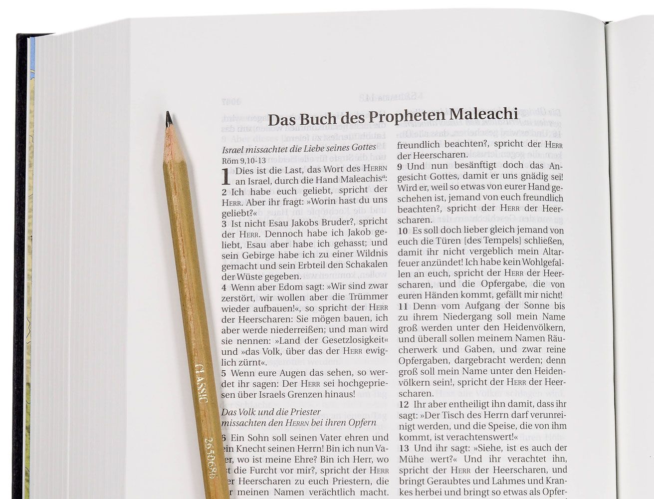 Schlachter 2000 Bibel – Schreibrandausgabe (Hardcover, anthrazit)