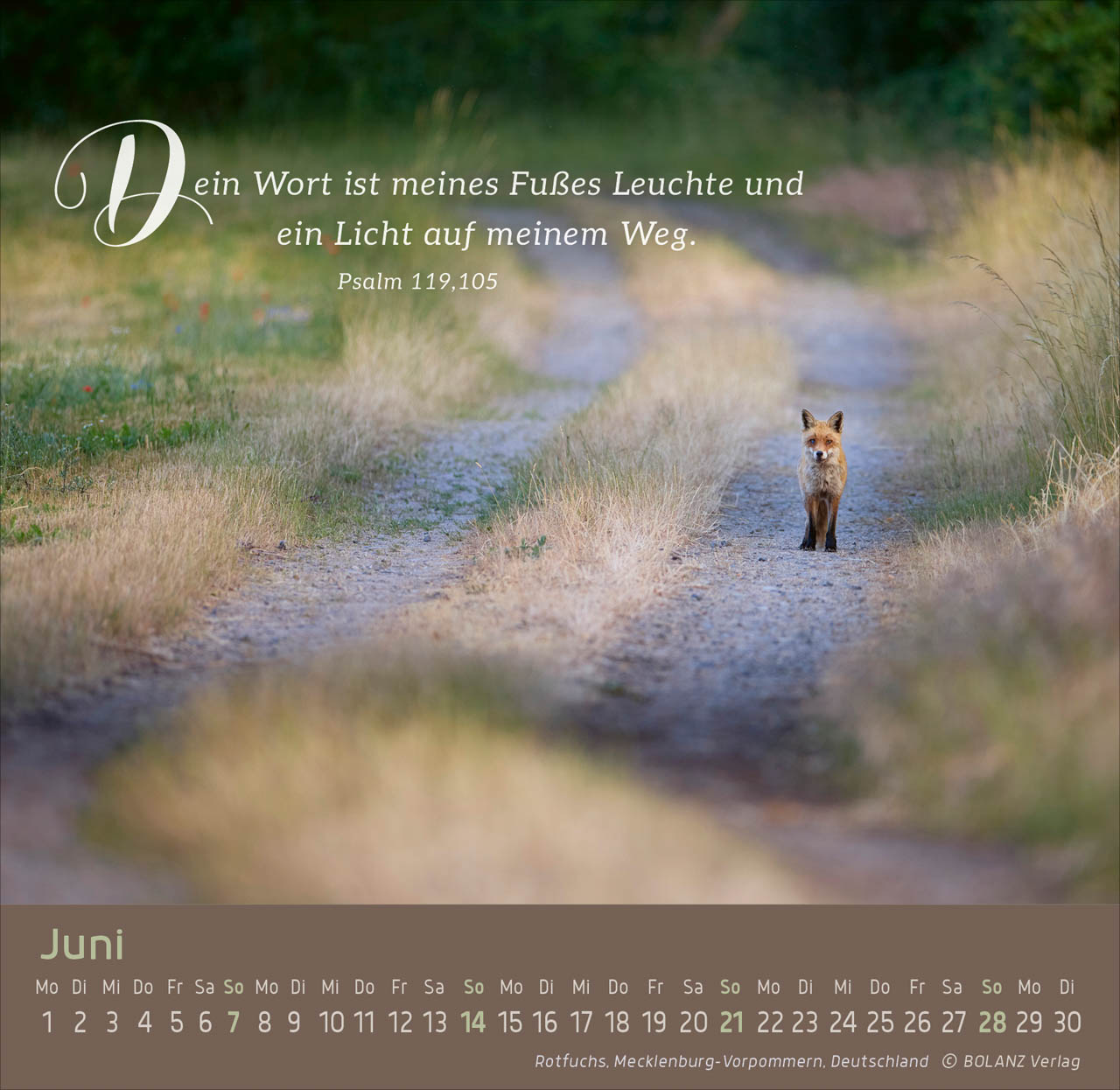 Weg-Licht-Leben 2026 - Tischkalender