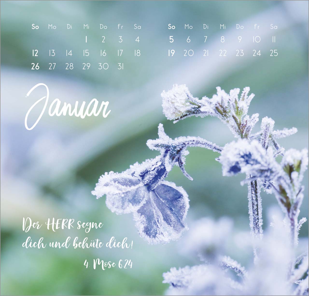 Zarte Blumengrüße Wandkalender