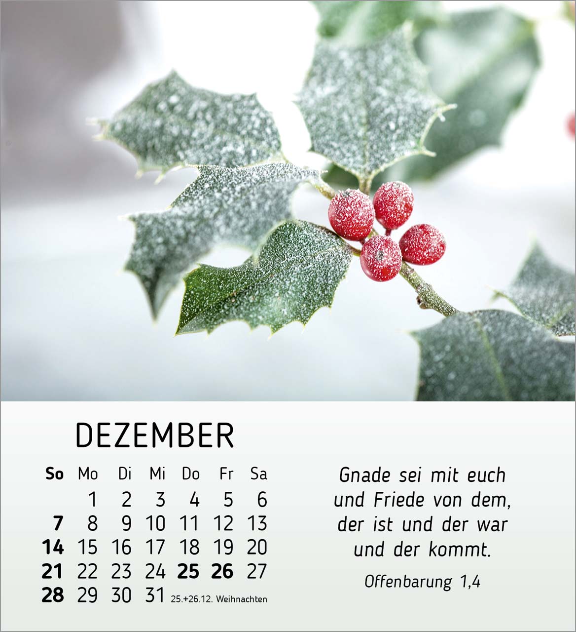 Stille Begegnungen Tischkalender