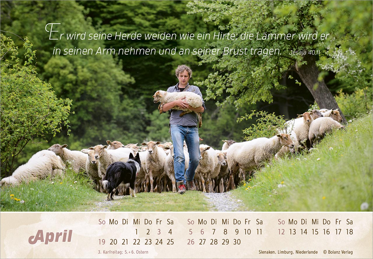 Der Gute Hirte 2026 - Panoramakalender