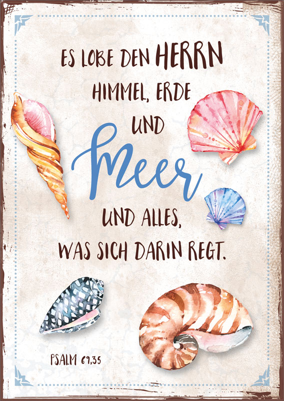 Postkarte Muschel Meer
