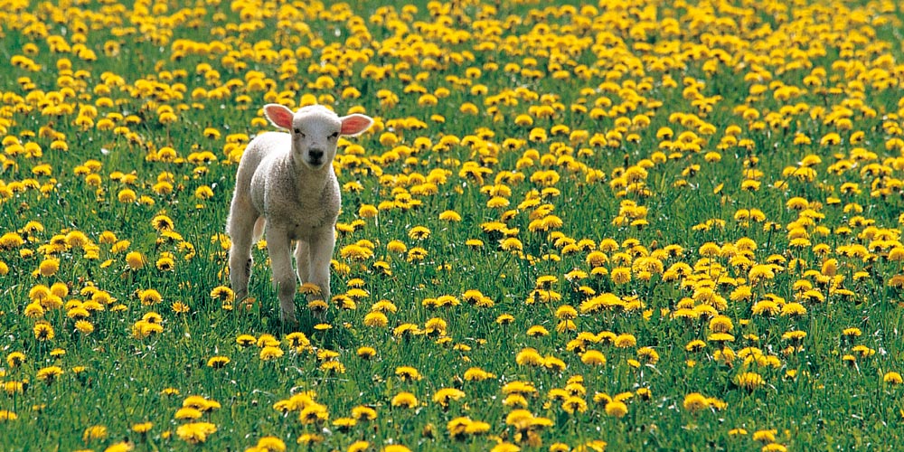Grußheft - Du hältst mich fest