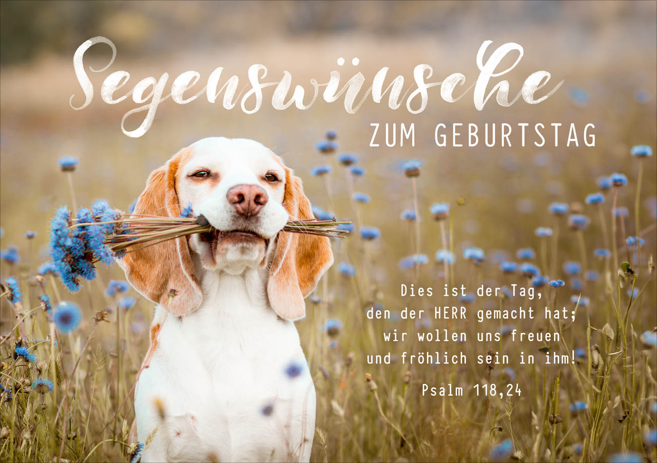 Faltkarte süßer Hund