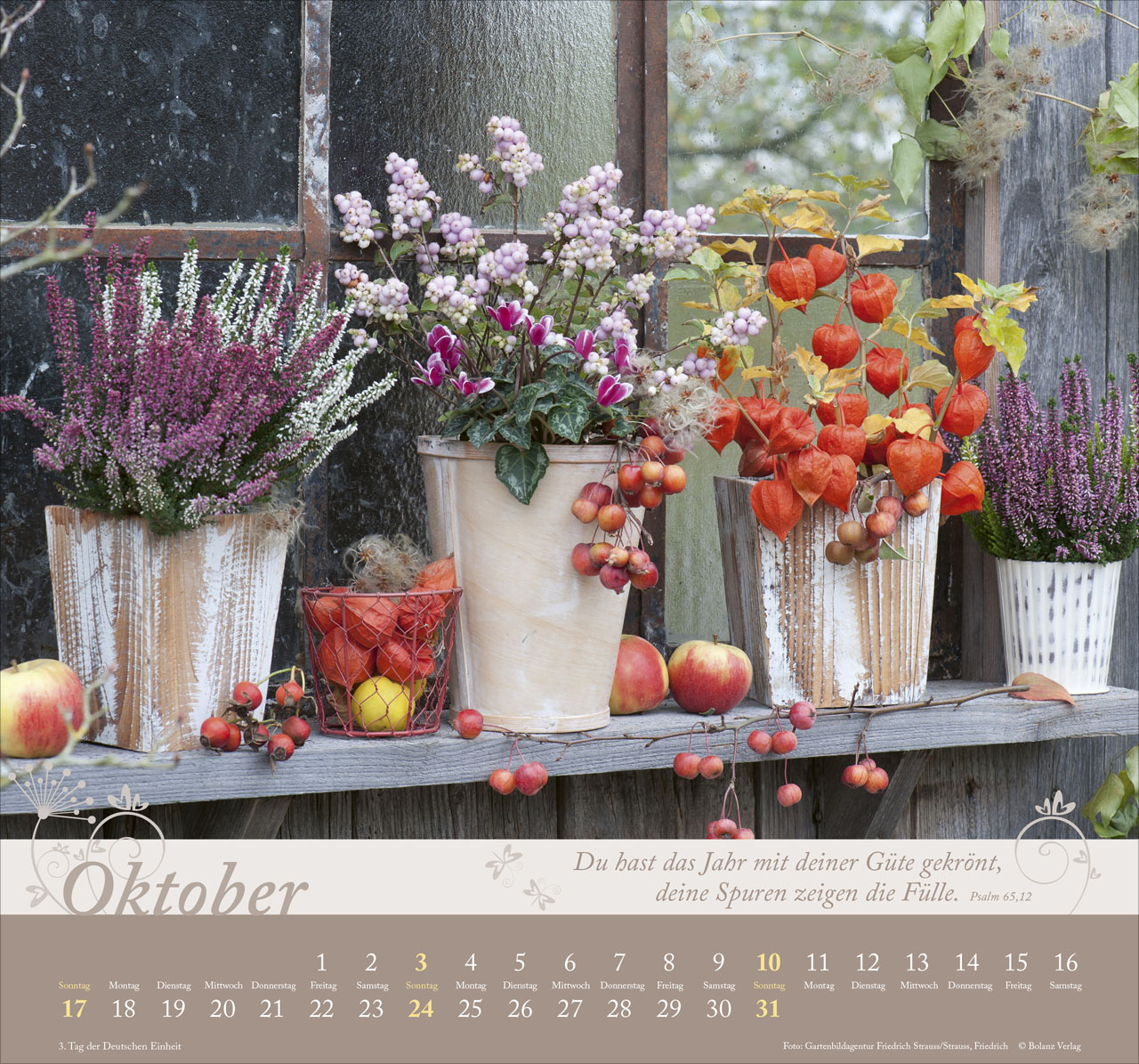 Im Garten zuhause 2027 – Wandkalender