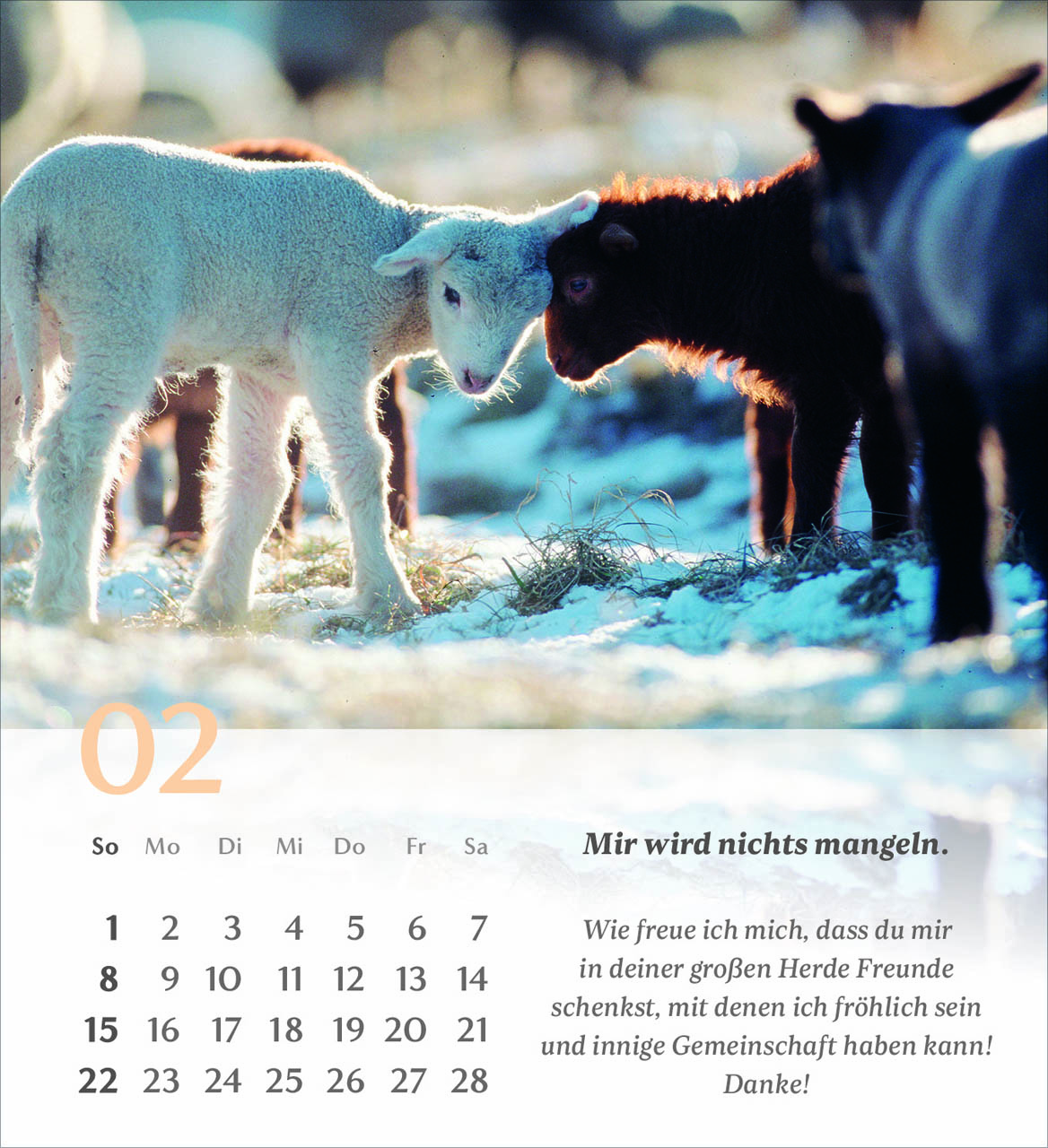Psalm 23 Tischkalender 2026
