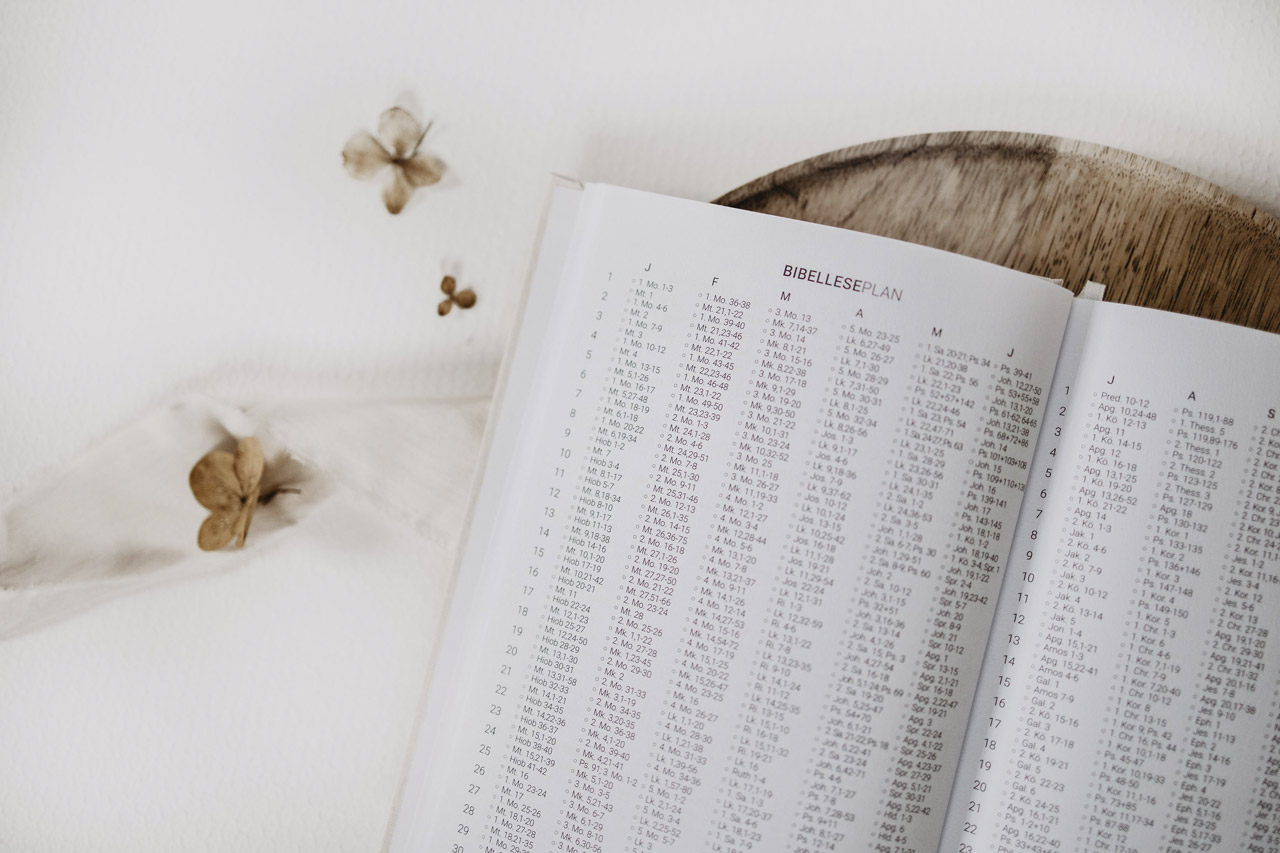 Wertvoller als Juwelen - Journal 2026