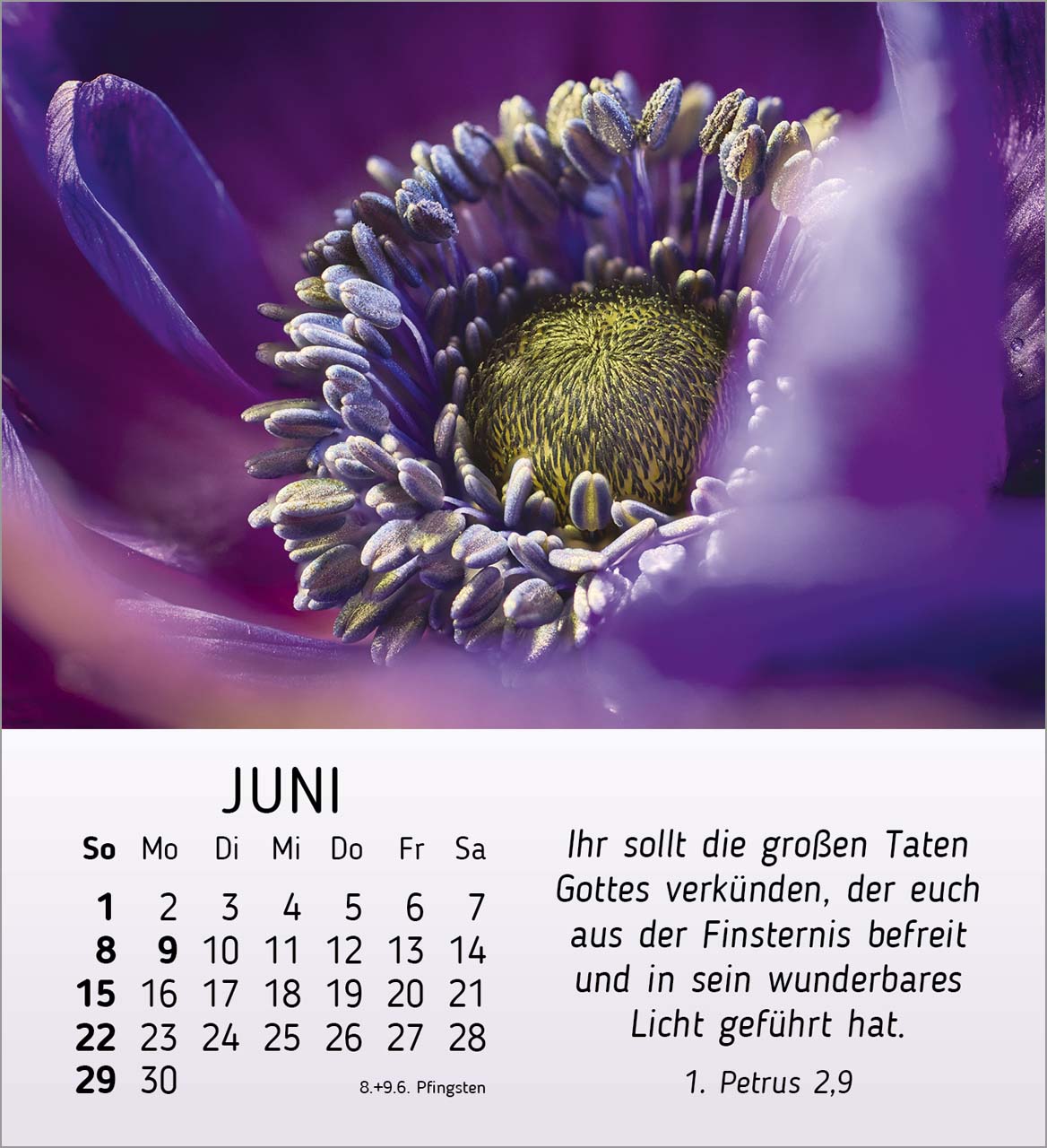 Stille Begegnungen Tischkalender