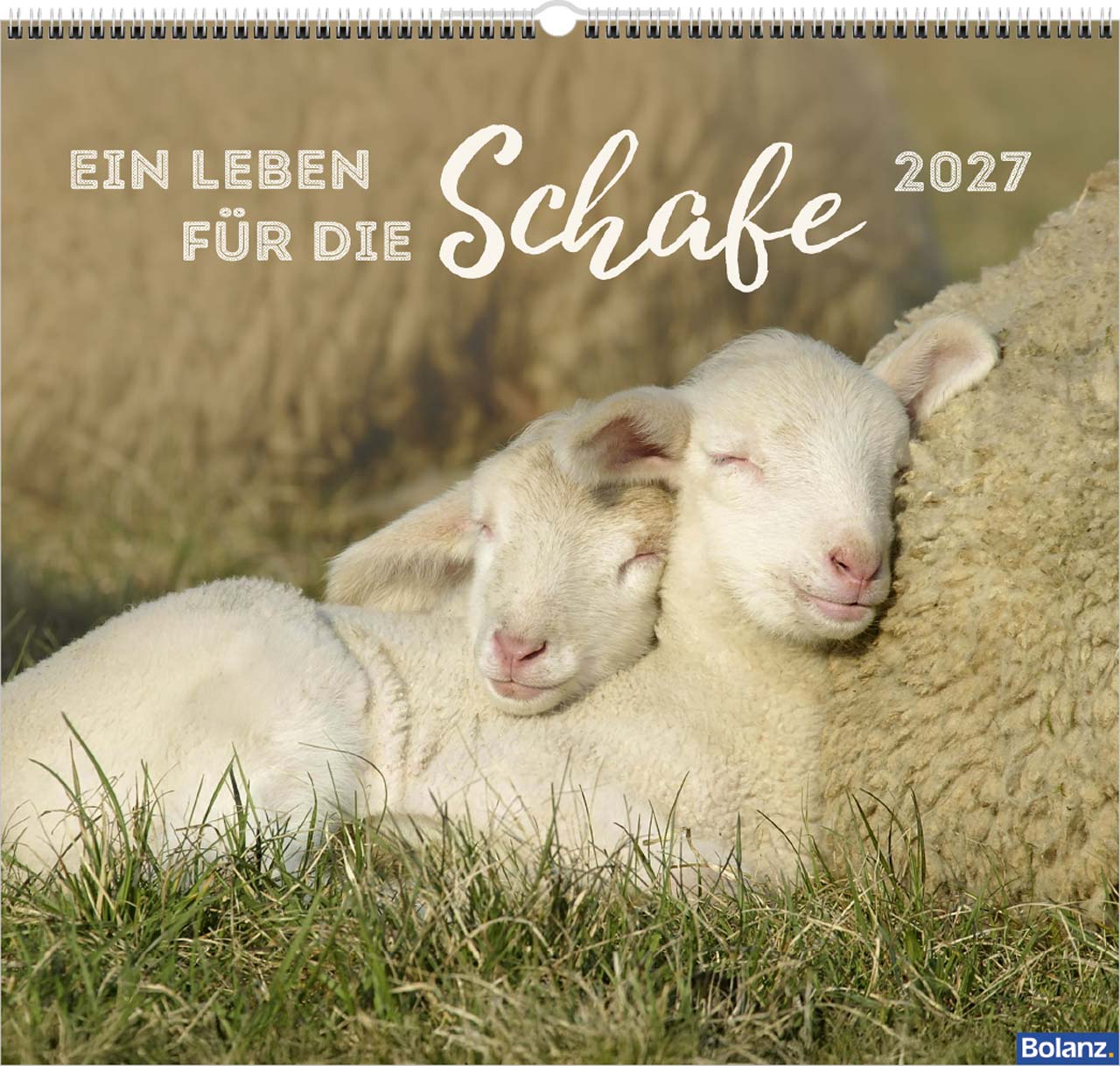 Ein Leben für die Schafe 2027 – Wandkalender
