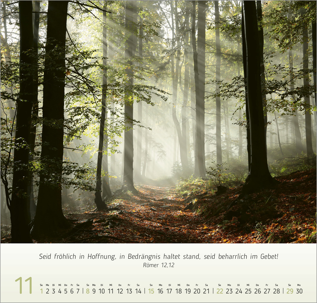 Licht Impressionen Wandkalender 2026