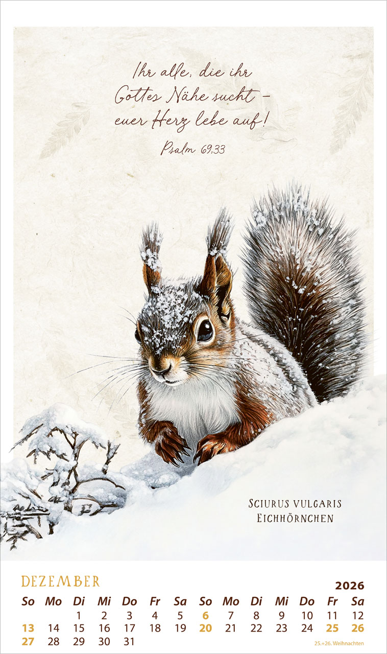 Schmuck Stücke des Schöpfers 2026 - Posterkalender