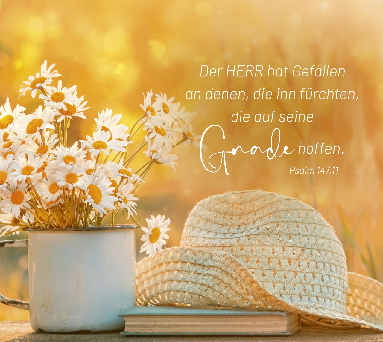 Aufstellbuch Geborgen in Gottes Hand